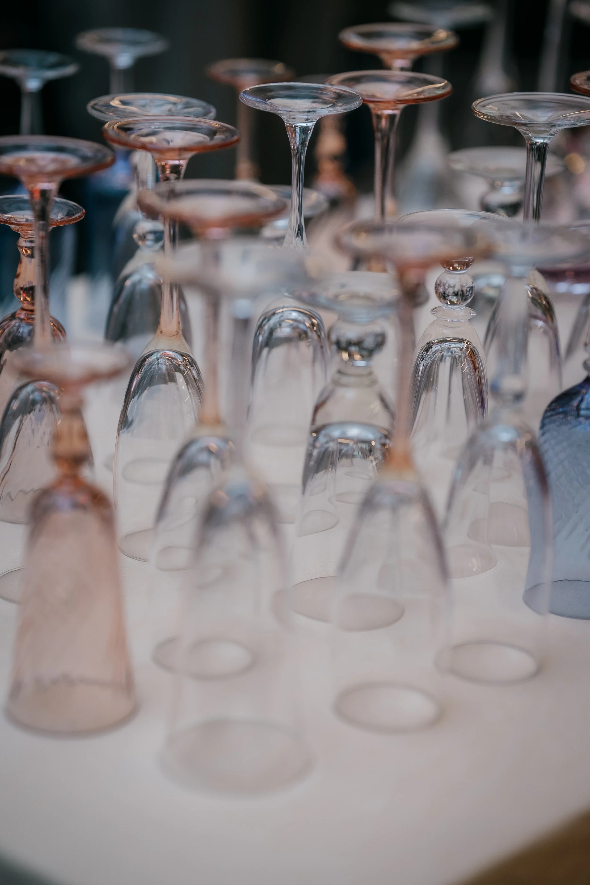 Rollercoaster x Demian location verres évènement Paris IDF Casa Limoncell.jpg