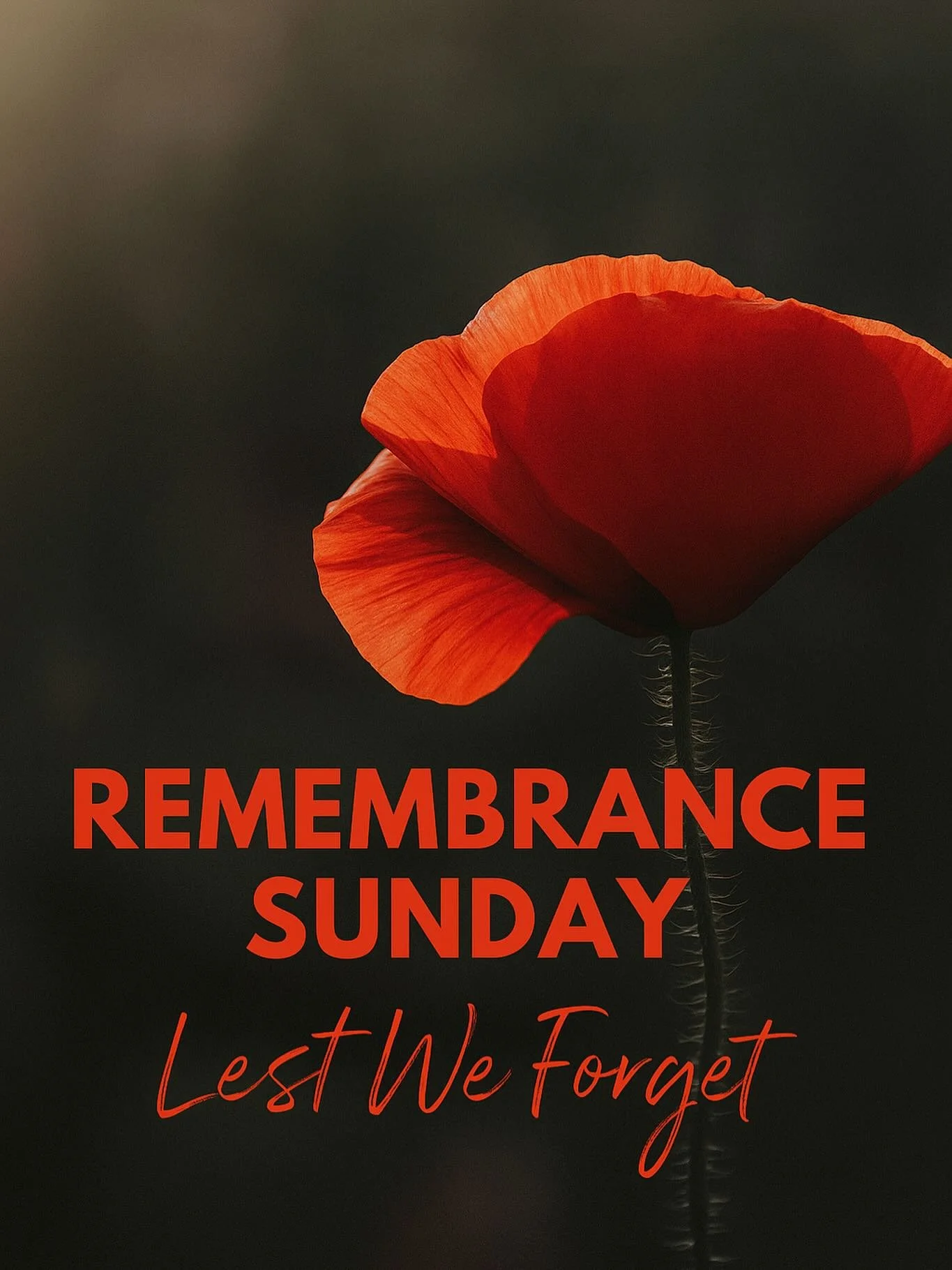 &ldquo;Today we pause to remember the brave men and women who gave everything for our freedom. Their courage, sacrifice, and spirit live on in all of us. 🌹
Lest we forget.&rdquo;