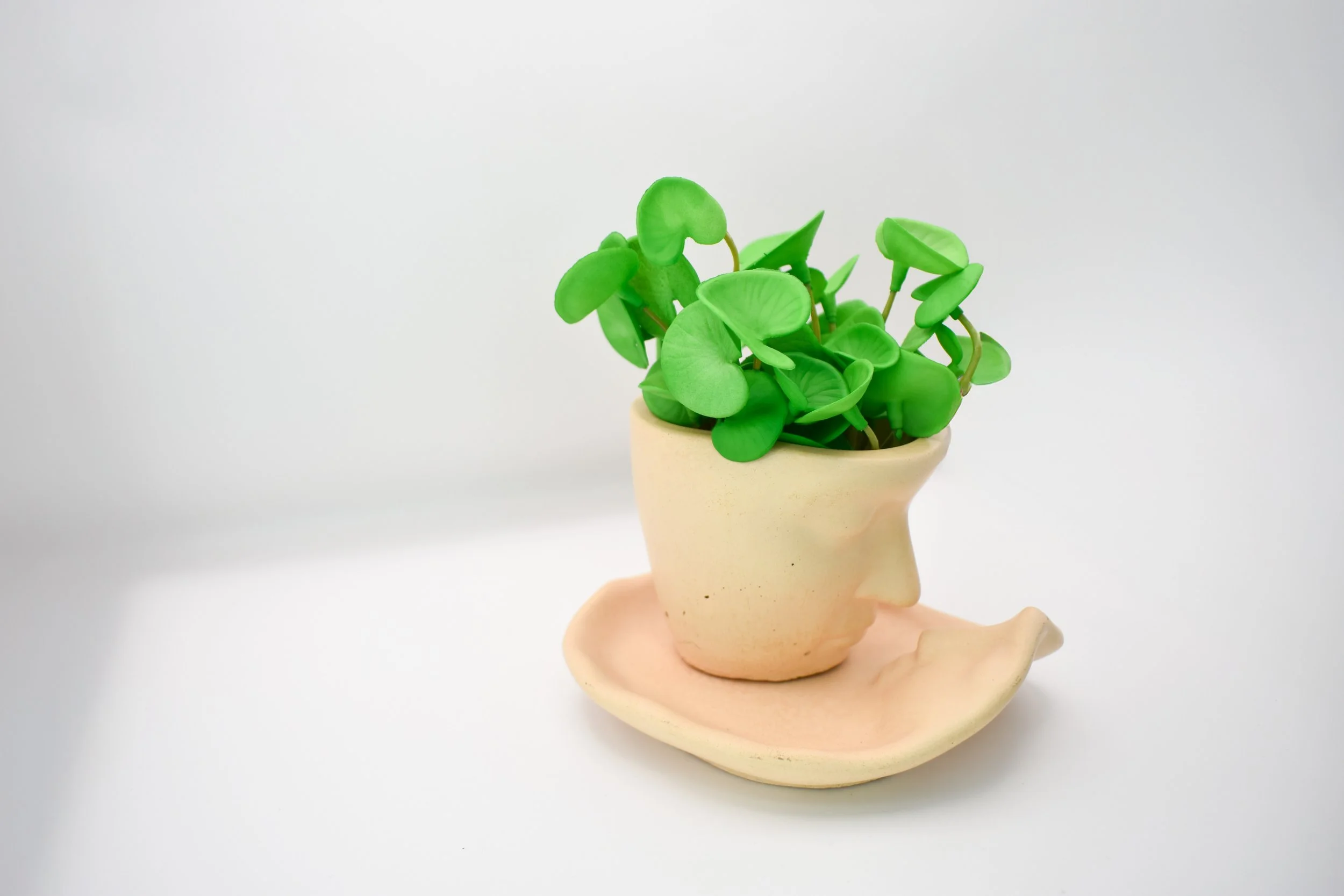 Peach-Kissing Planter (13).jpg