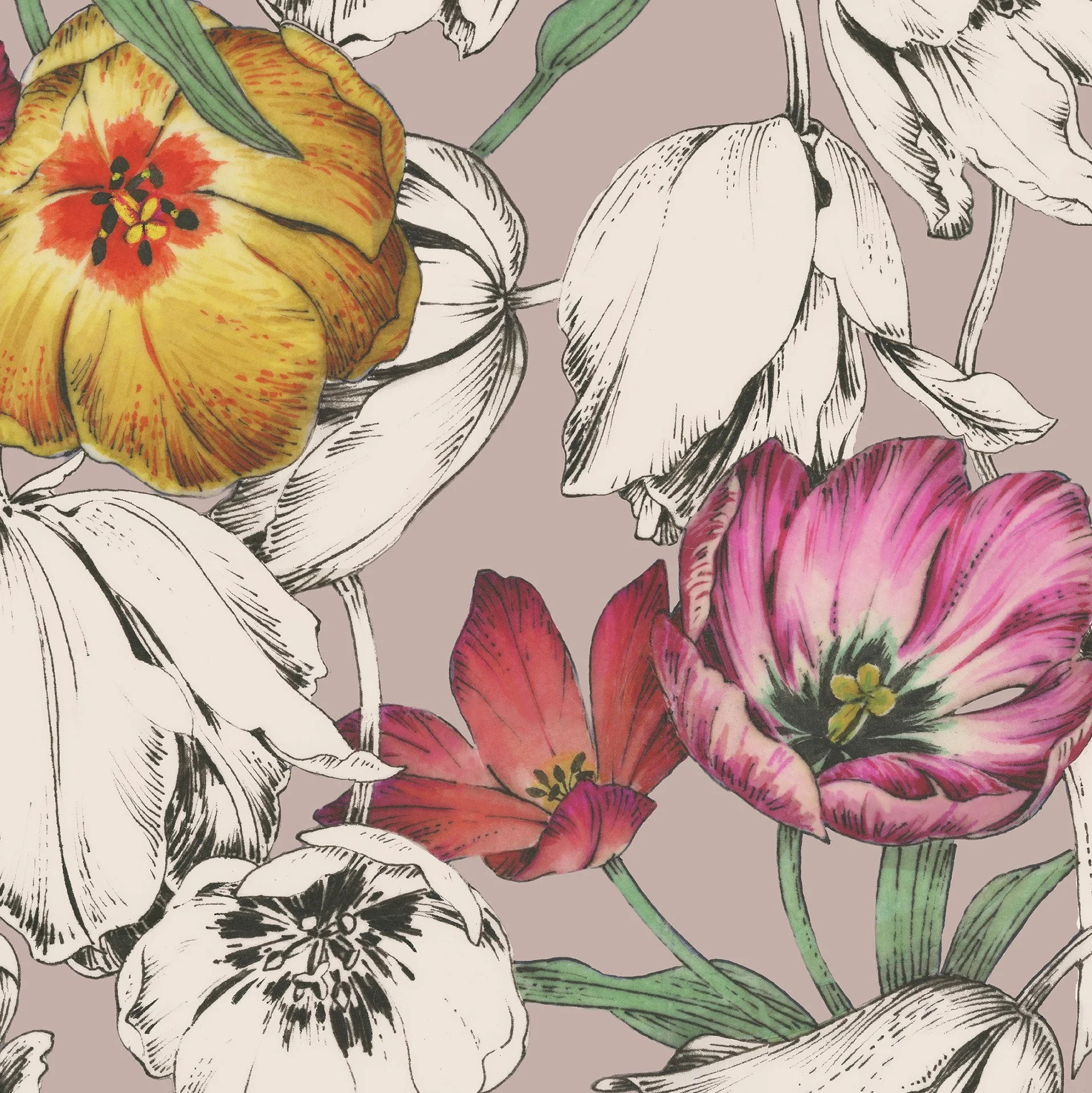 PREORDER - Springtime Fancy - Tulips - Dusty Mauve