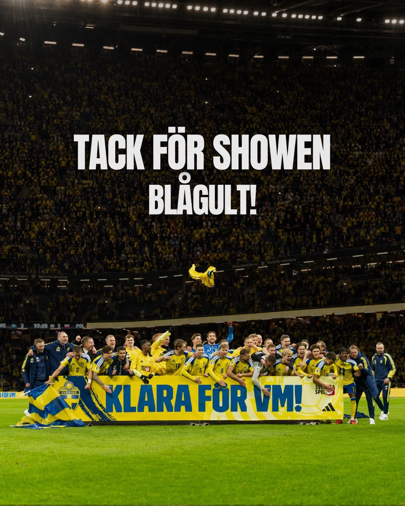 Tack f&ouml;r showen grabbar! Ni vann v&aring;ra hj&auml;rtan! 💛💙🇸🇪 #sverige #tillsammans 

📸: @jjoelwetzel