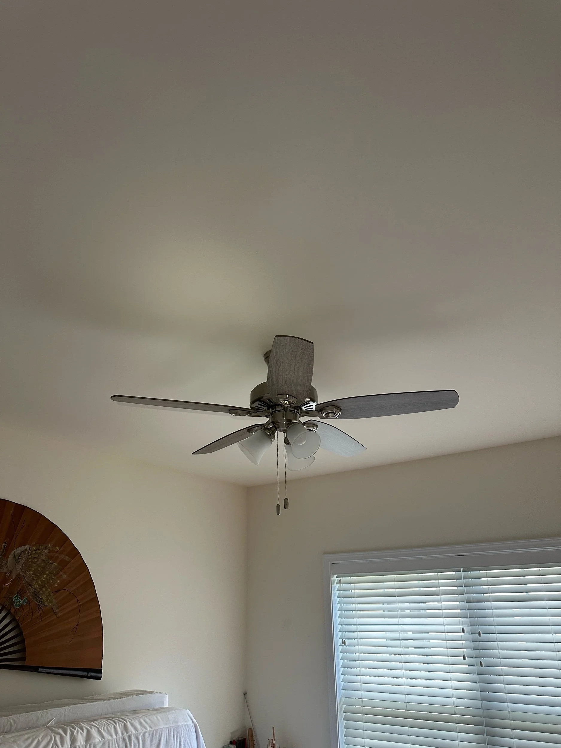 IMG_7876.jpeg