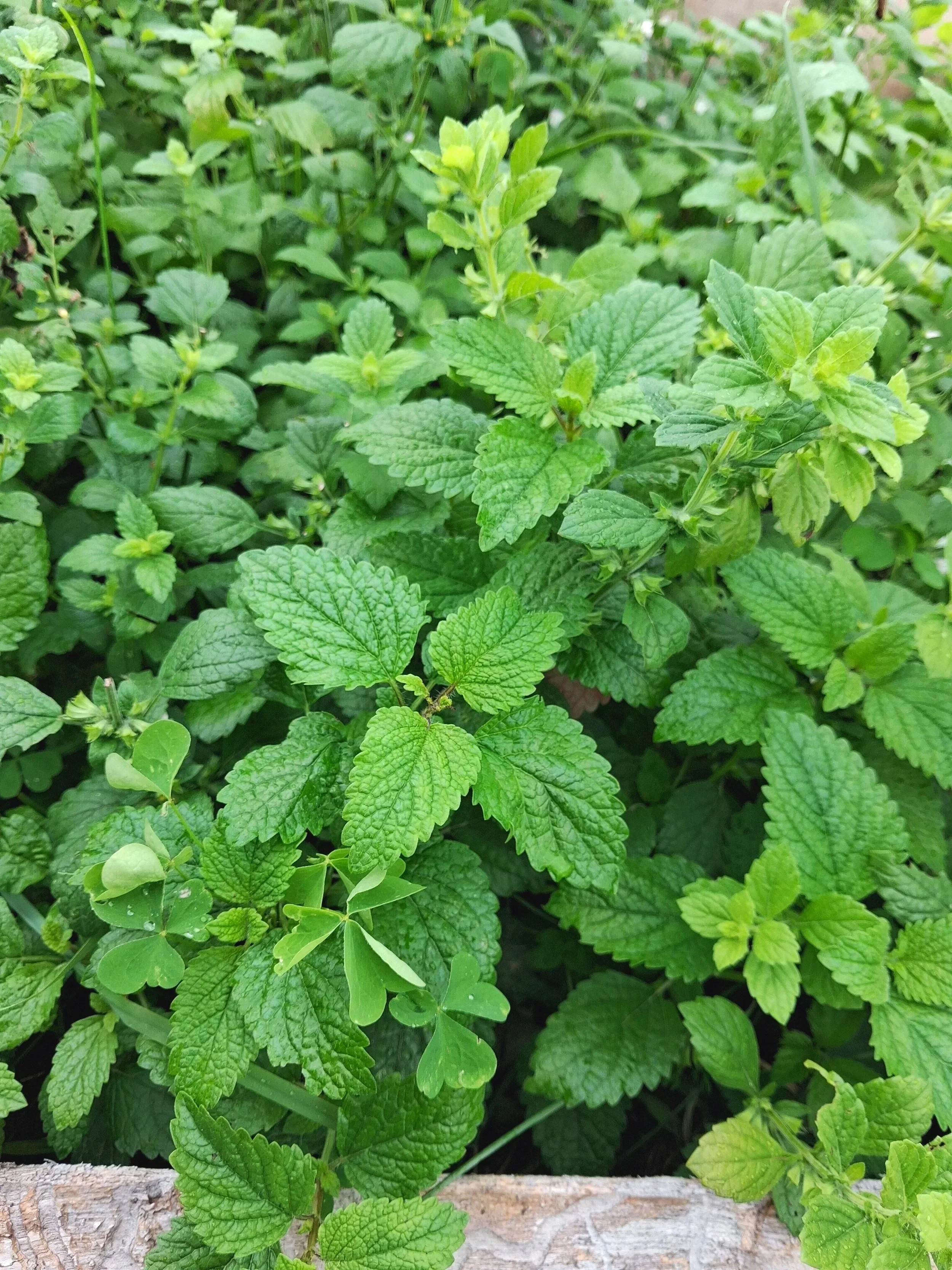 20260729_164811.jpg