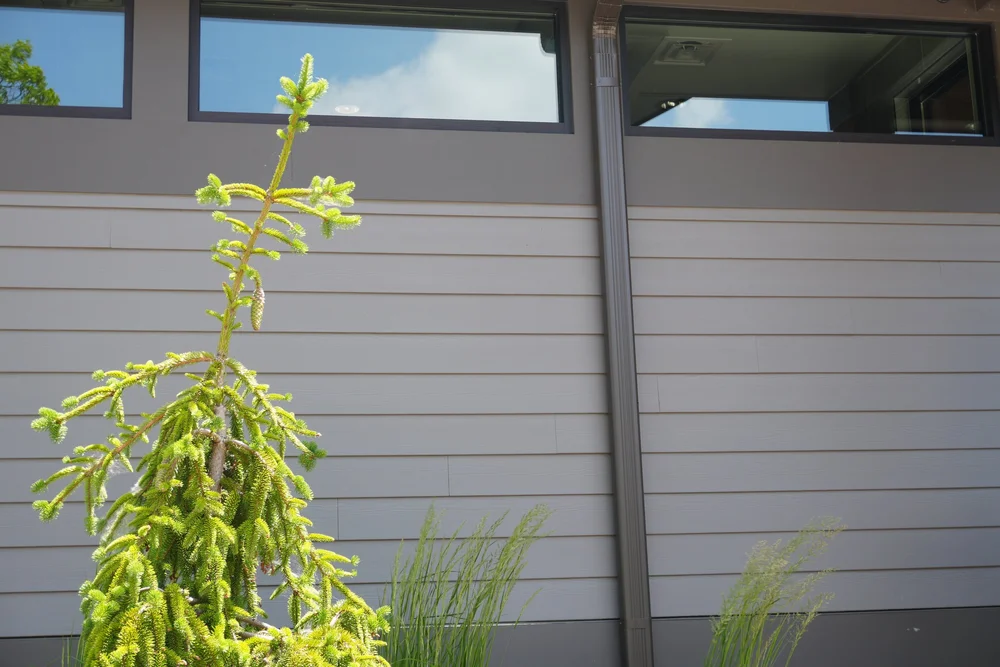 Siding project by Cutting Edge Homes