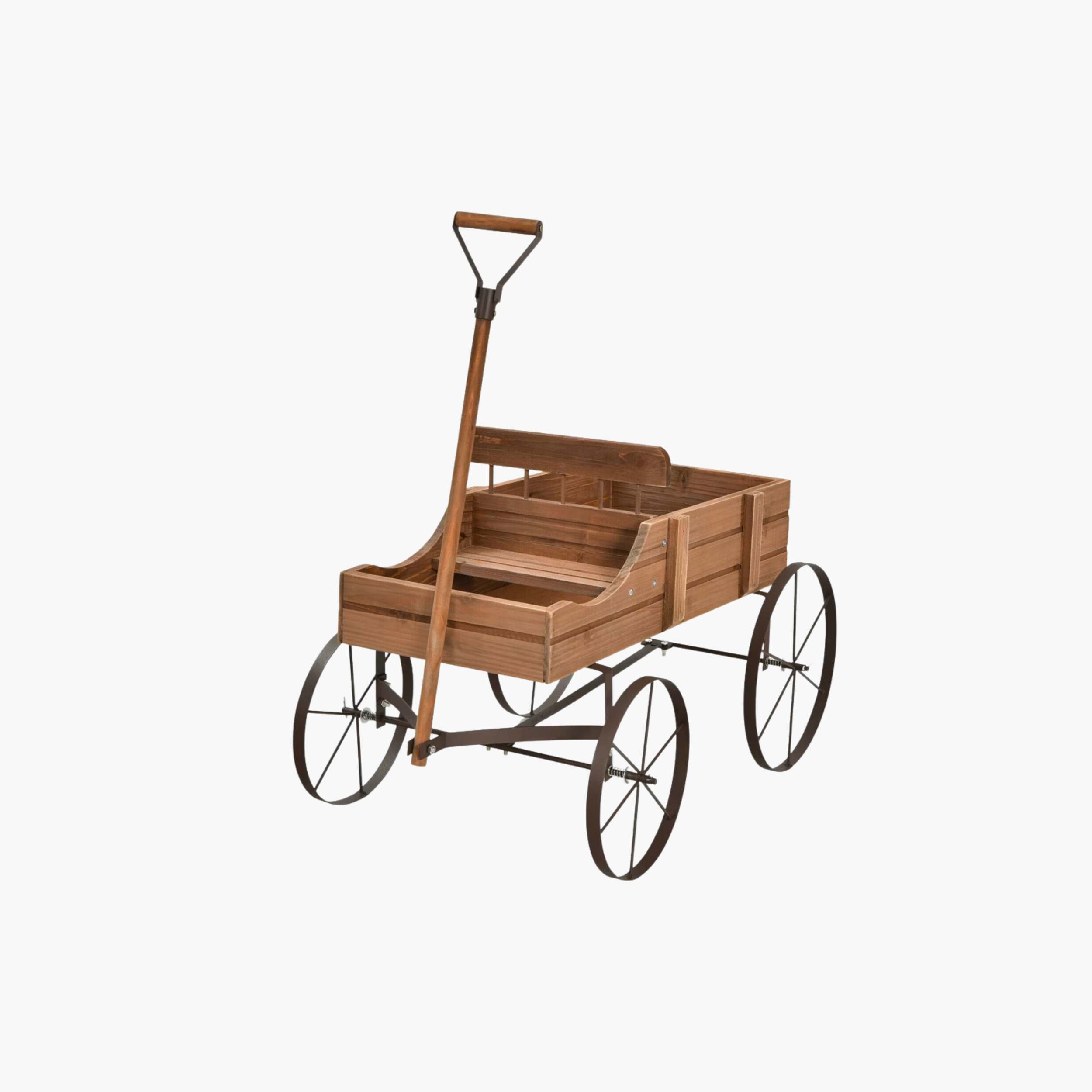 Peter rabbit decor rentals in miami, fl