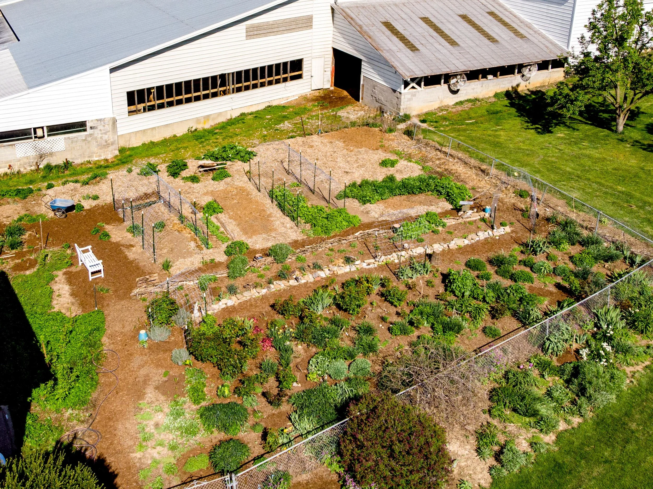 aerial - drone farm photos 3-2.jpg