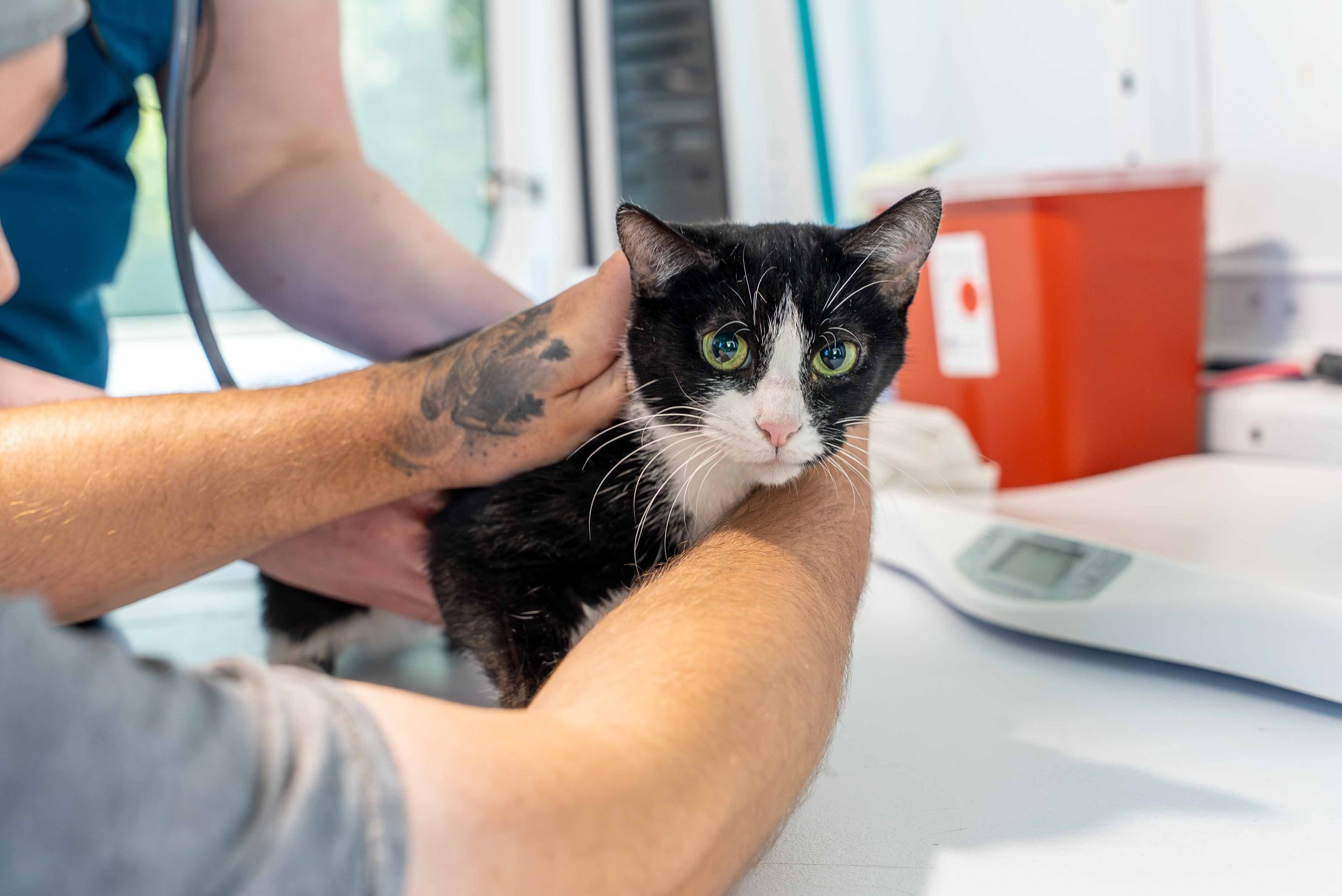 Community Event Photography-1017.jpg