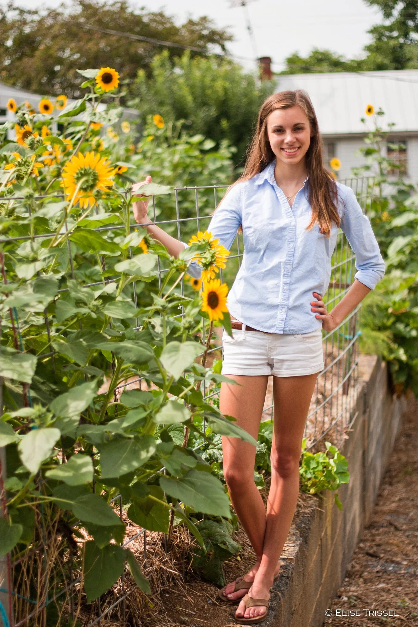Senior Portrait - Sunflower, Outdoors.jpg