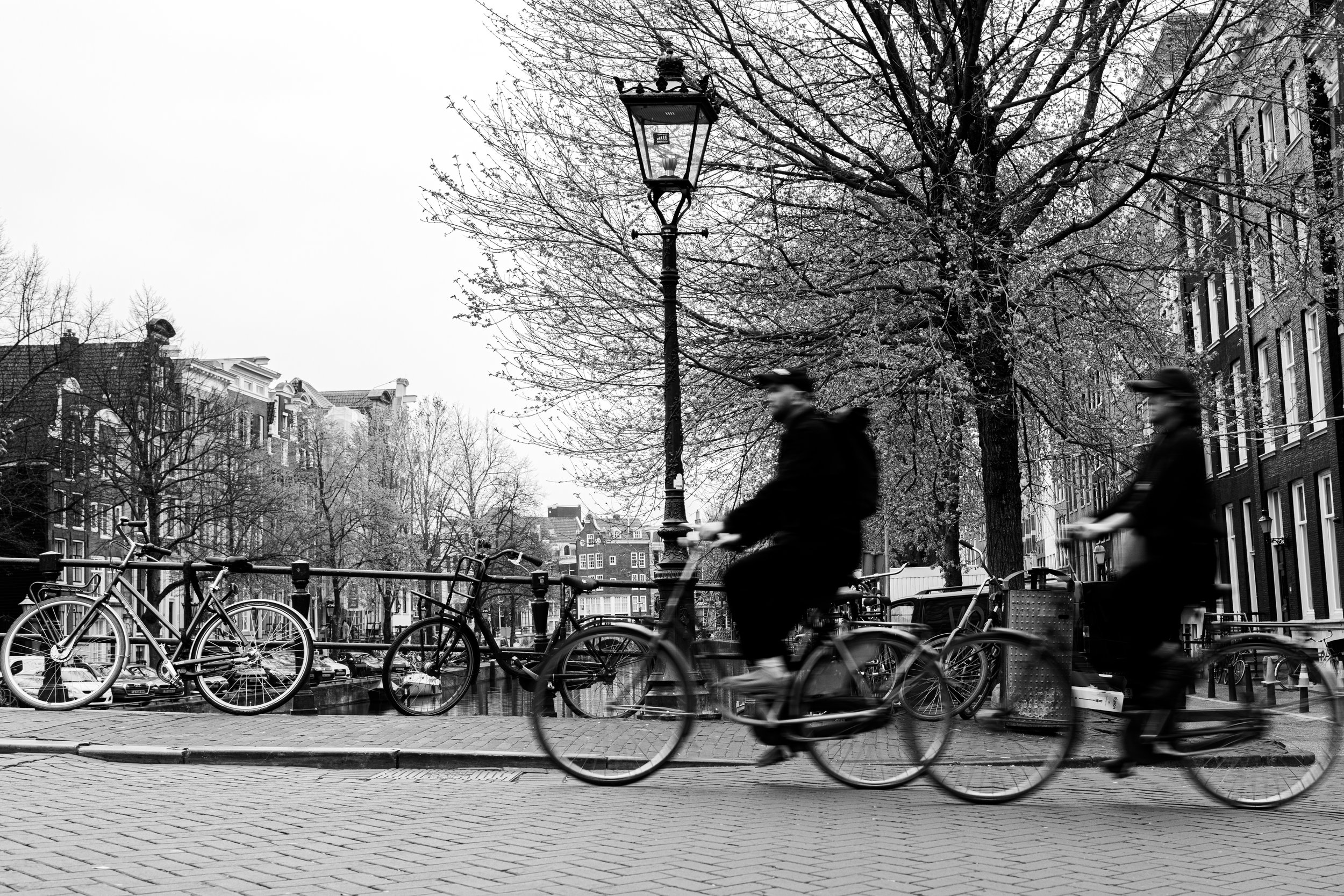 04_17_25 BIKES AMSTERDAM-3089.jpg