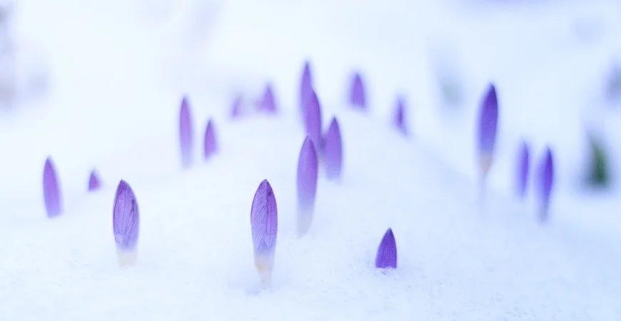 Rise again, yes, rise again.