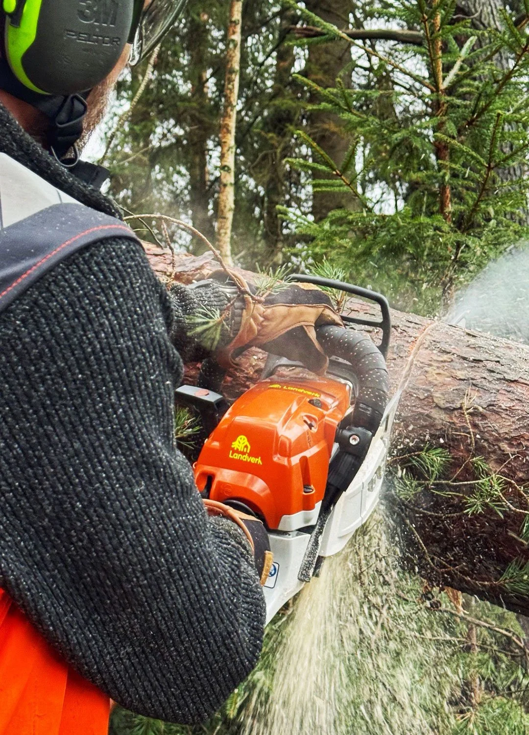 Landverk Trädvård, trädfällning, Göteborg, Kungsbacka