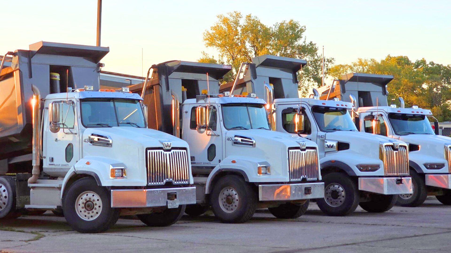 Row of white dump trucks parked outdoors at sunset
