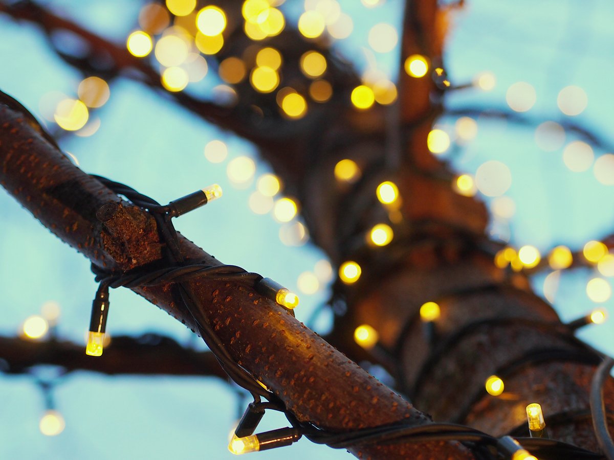 Tree branch wrapped with yellow string lights, against a blurred background of more lights and a blue sky.