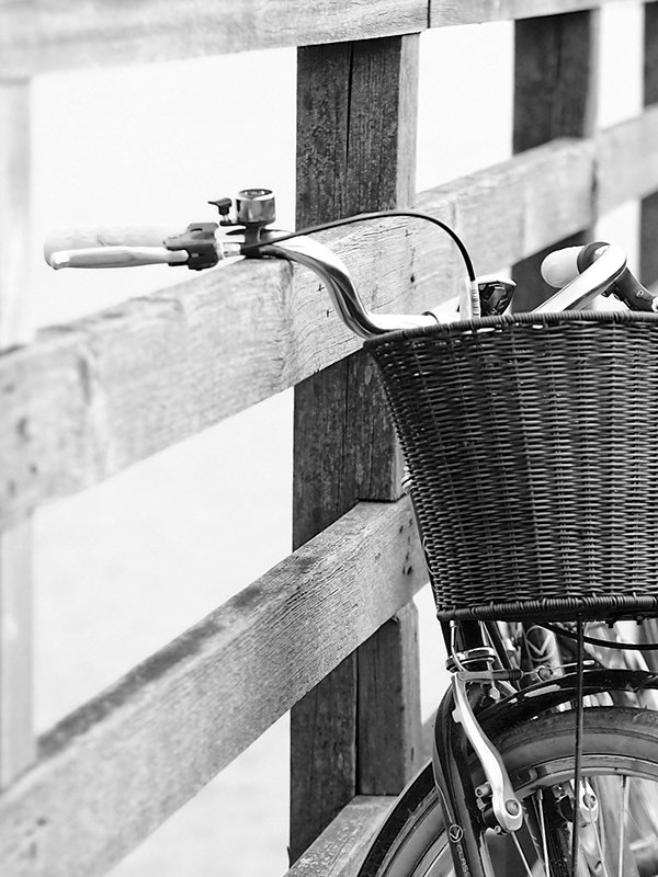 Black and white photo of a bicycle leaning against a wooden fence, featuring a wicker basket on the handlebars.