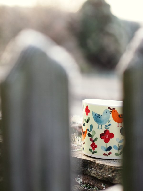 Decorative mug with colorful bird and flower design on a wooden deck outside.