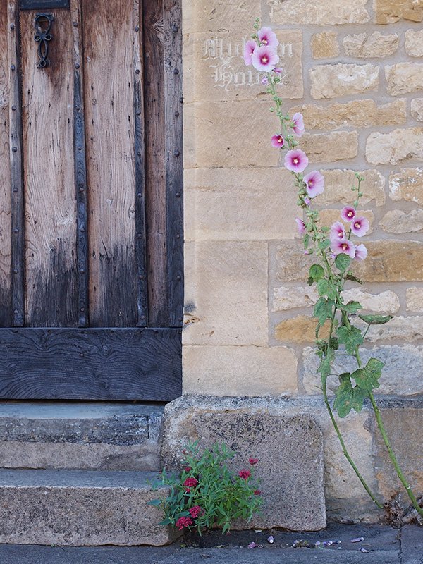 Wooden door with stone wall and pink flowers
