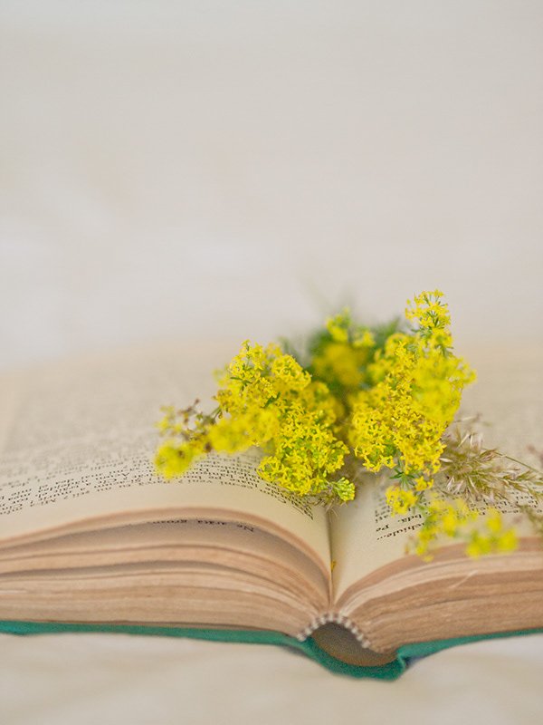 Open book with yellow flowers placed on pages
