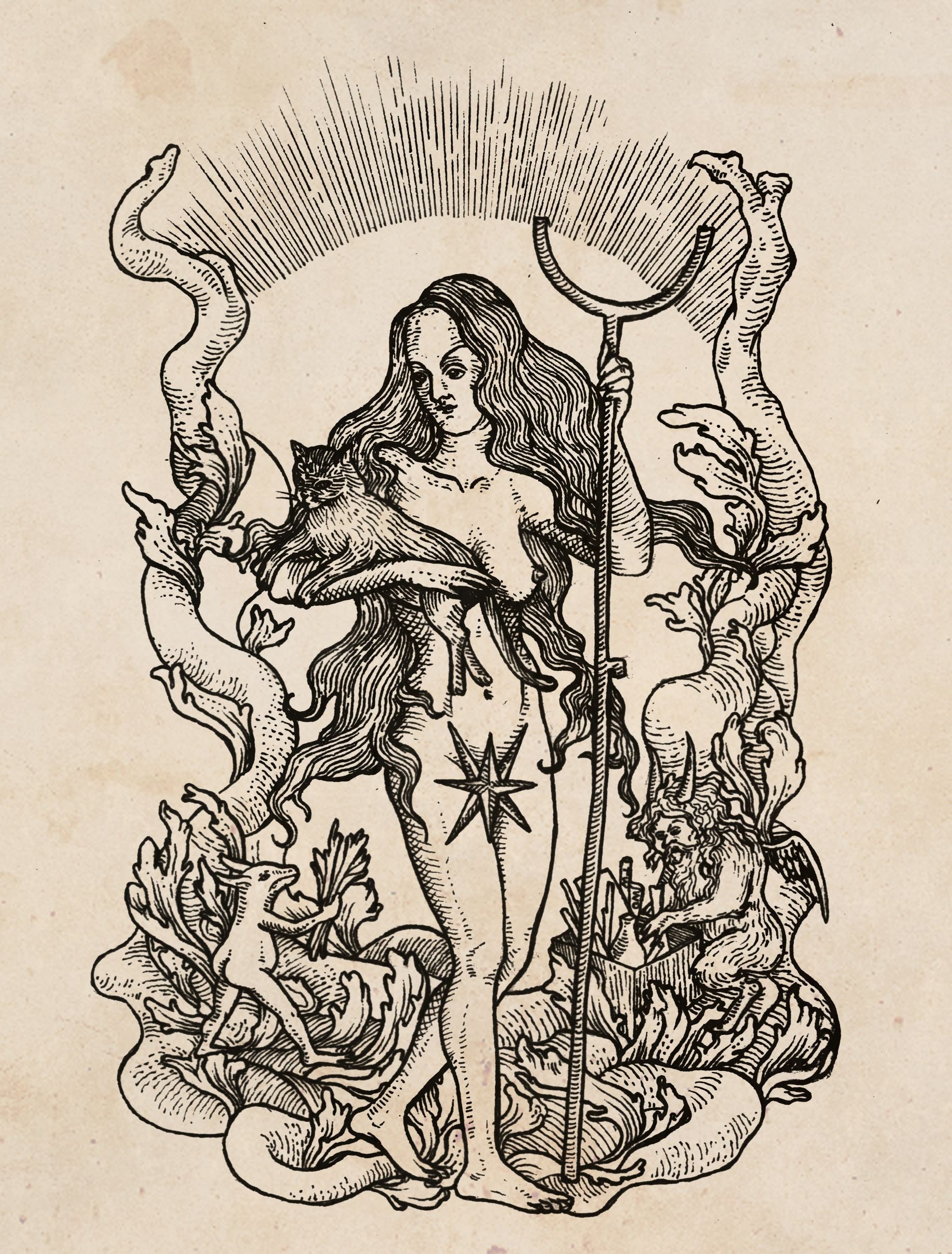The Golden Age of the Witch: The Art of vvitchofthevvoods