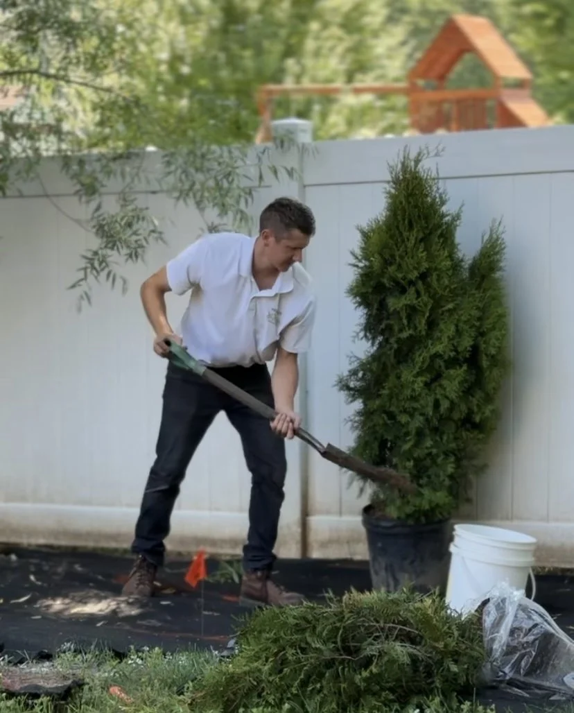 Installing new plants, mulch installation and weed barrier.