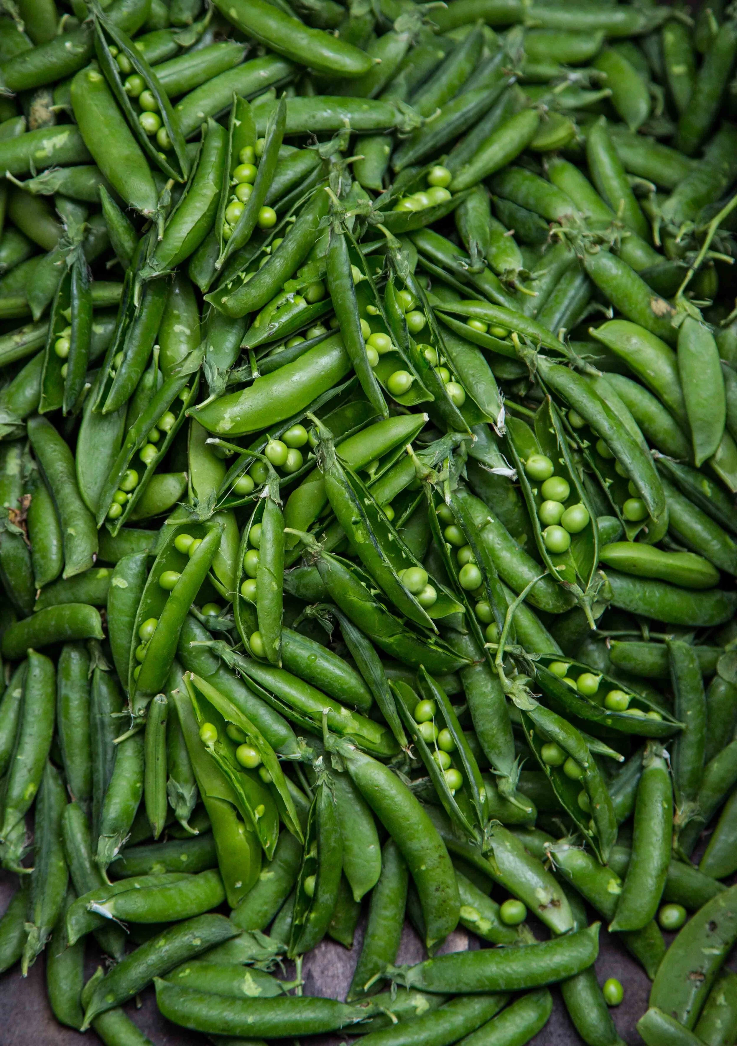peas.jpeg