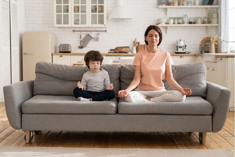 Moving Past “NO” with The PAUSE Program for Defiant Kids and Teens with ADHD