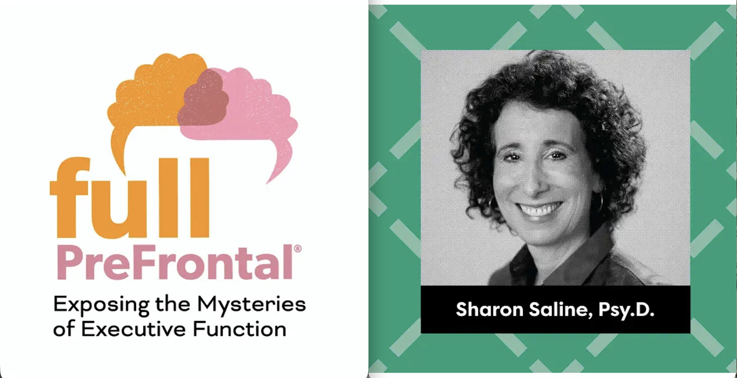 Full PreFrontal: Exposing the Mysteries of Executive Function - Counterbalancing Patterns of Failure
