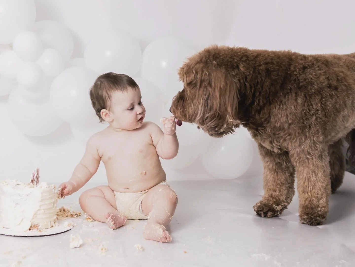 Pawty time! 🐾 🎂