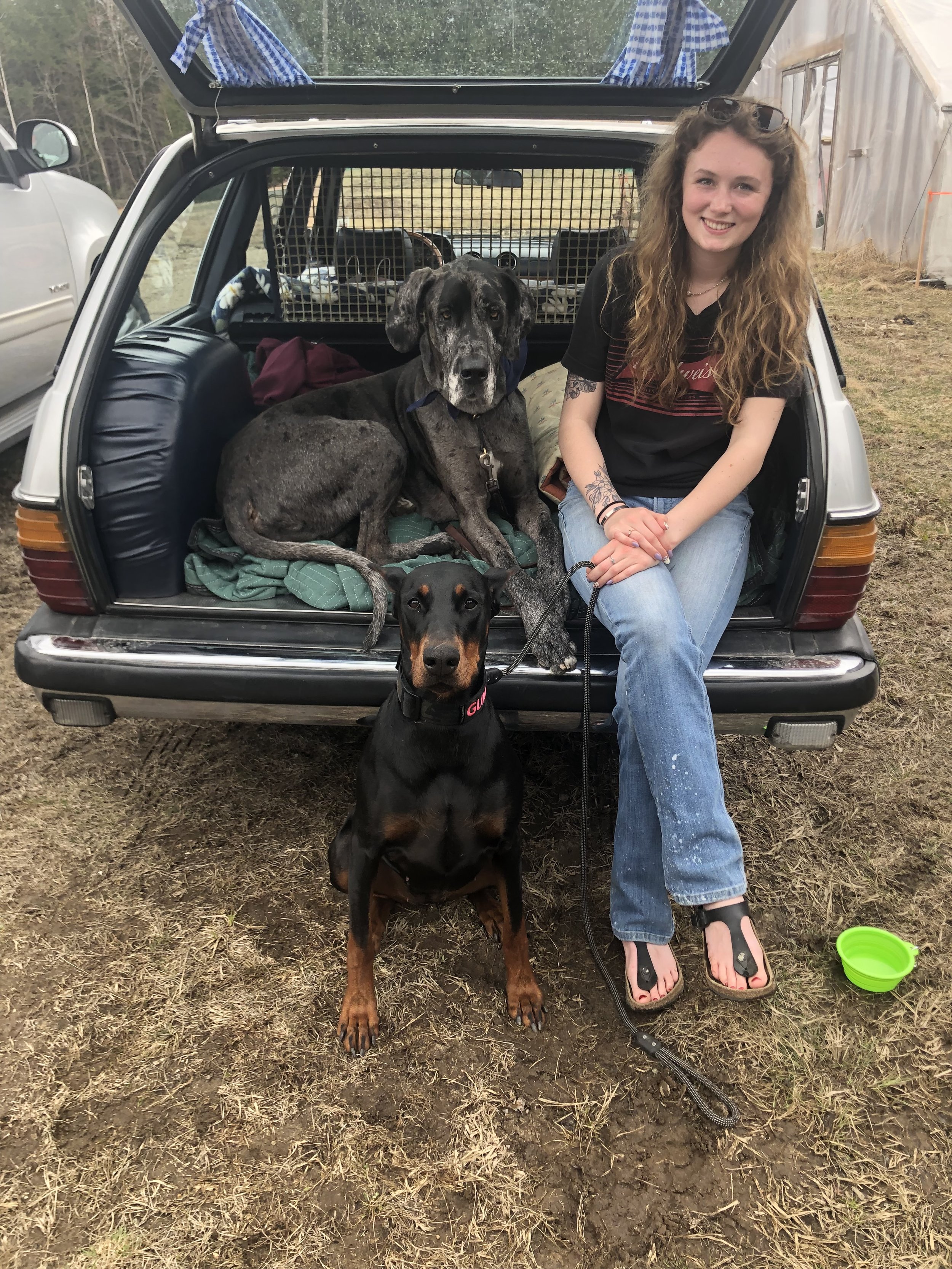 Community Canine