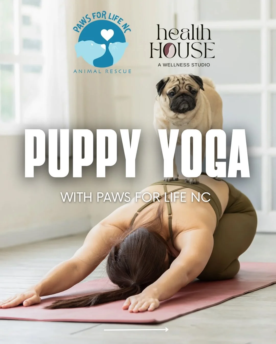 Join us for an all-levels yoga flow surrounded by adorable, adoptable puppies from @pawsforlife_nc . It&rsquo;s the perfect way to de-stress, stretch, and support pups in need of their forever homes. Limited spots available, get ready for puppy kisse