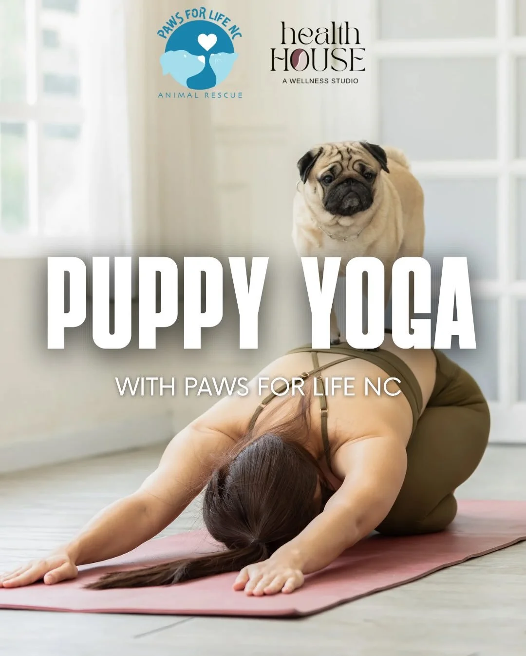 Join us for an all-levels yoga flow surrounded by adorable, adoptable puppies from @pawsforlife_nc . It&rsquo;s the perfect way to de-stress, stretch, and support pups in need of their forever homes. Limited spots available, get ready for puppy kisse
