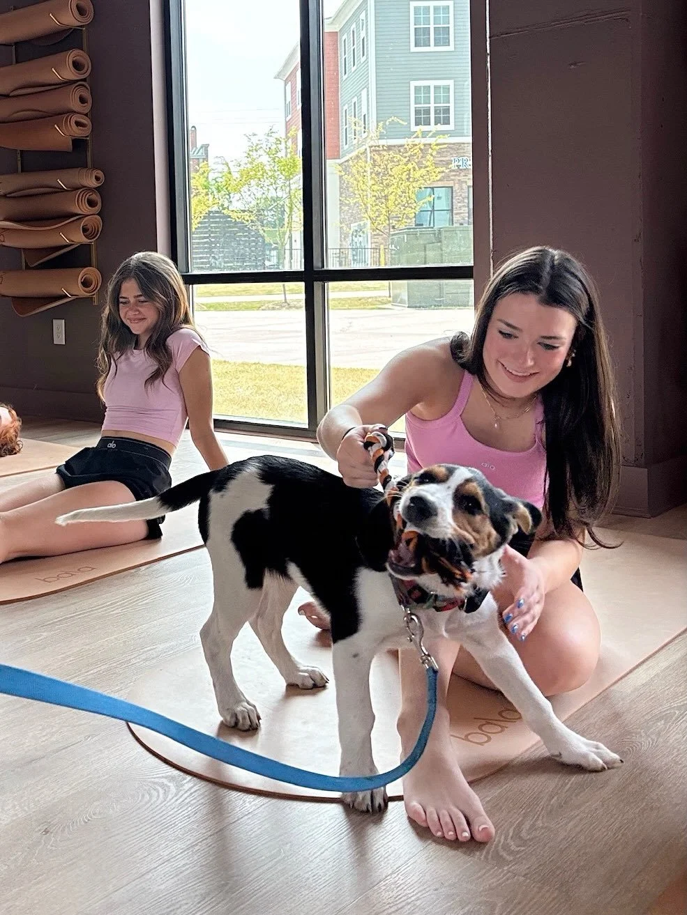 We had such a great time this weekend hosting puppy yoga with @blazintrailsbottlebabies 🐶🤍 thank you to everyone who came out to support this incredible rescue while getting to spend time with the sweetest pups.

We love creating spaces that bring 