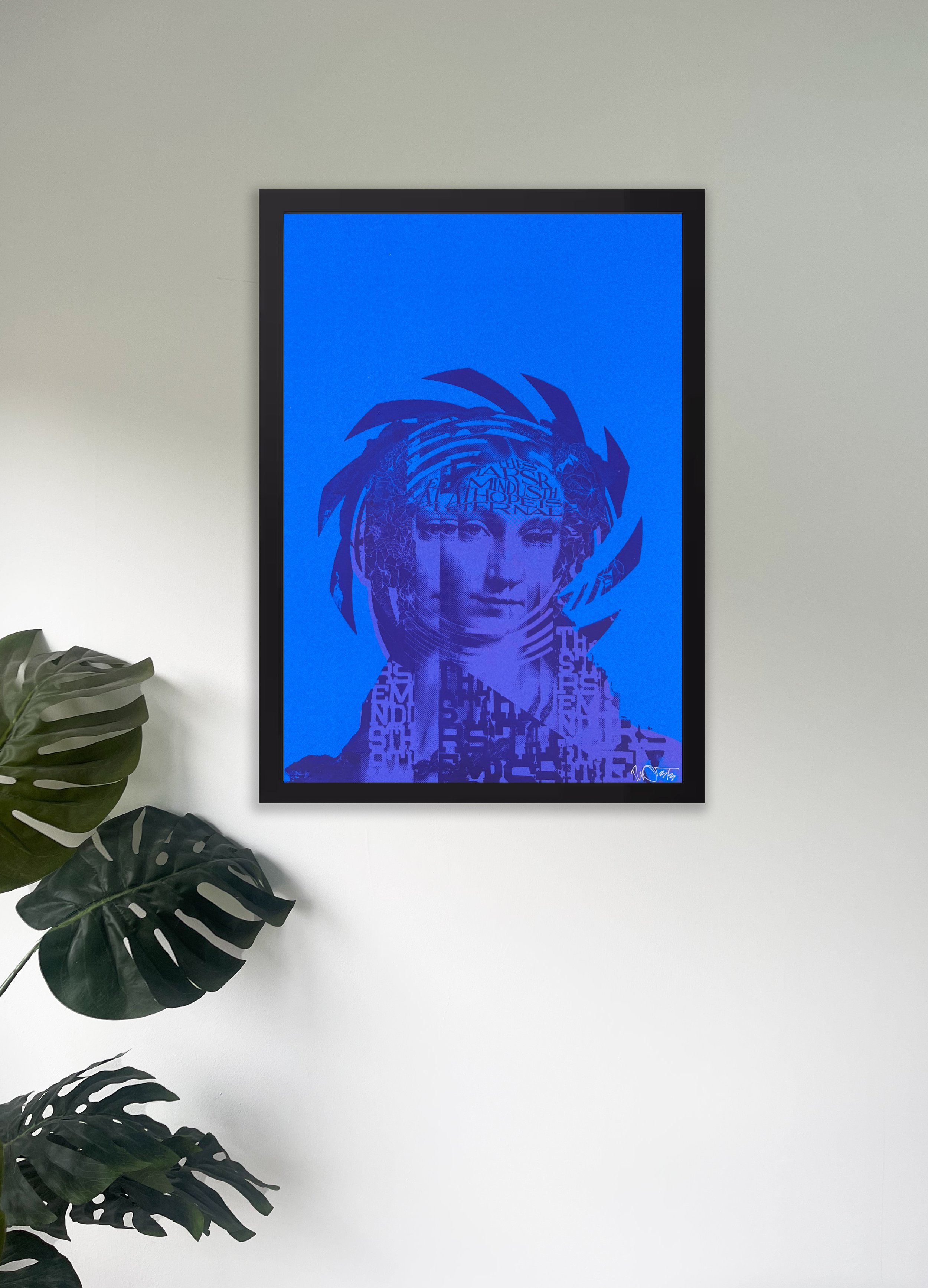 Blank conservatory wall copy.jpg