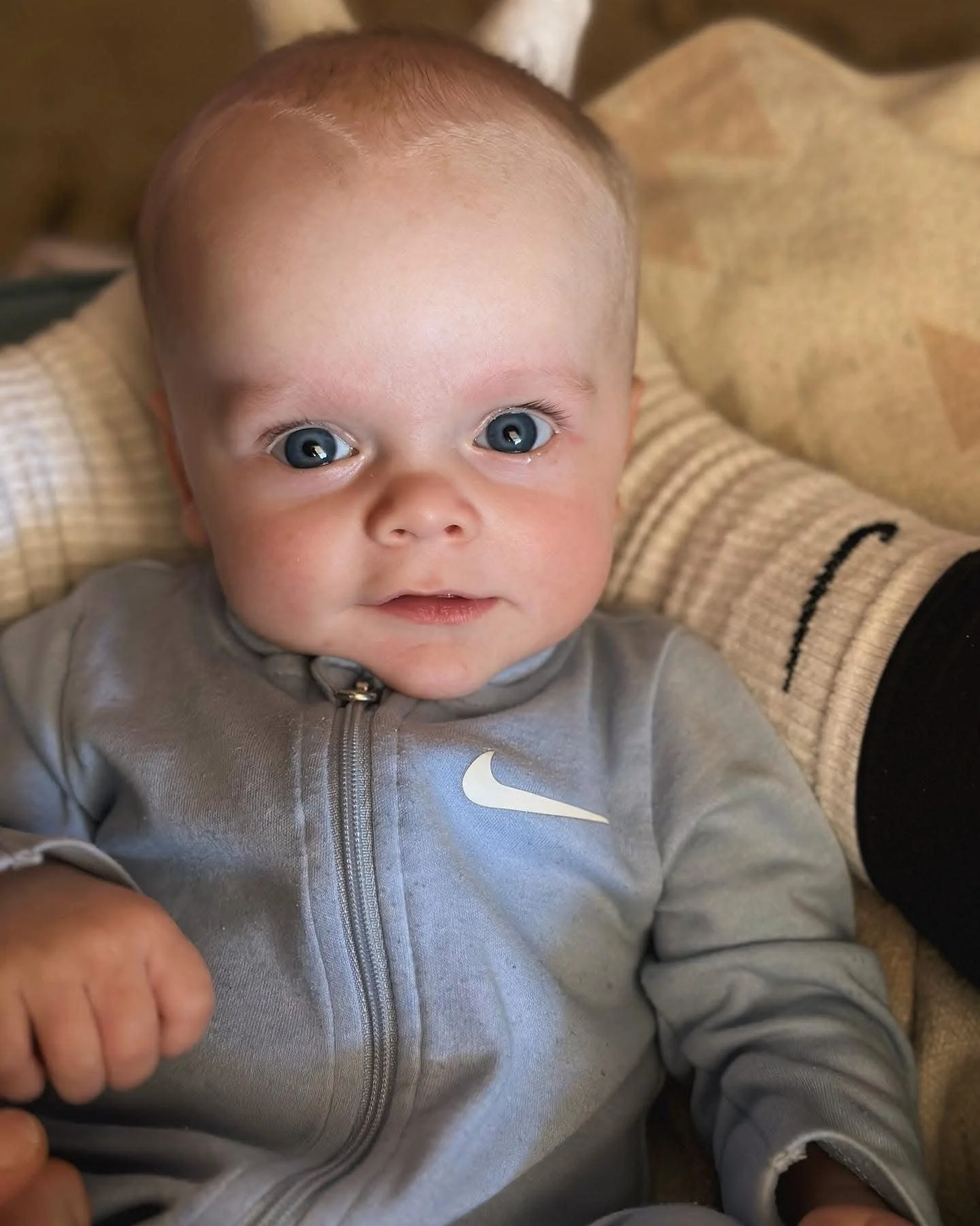 Close-up of a baby with blue eyes, fair skin, wearing a gray Nike hoodie, lying on a beige blanket.