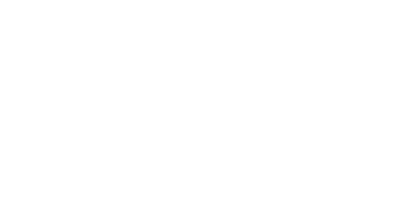 Authorized partner logo for Everything DiSC by Wiley, with black and white design and text.