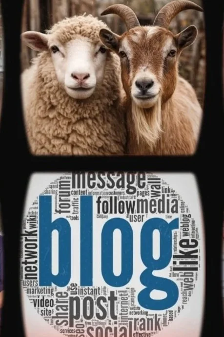 Abattoir vs Home Slaughter Gallery