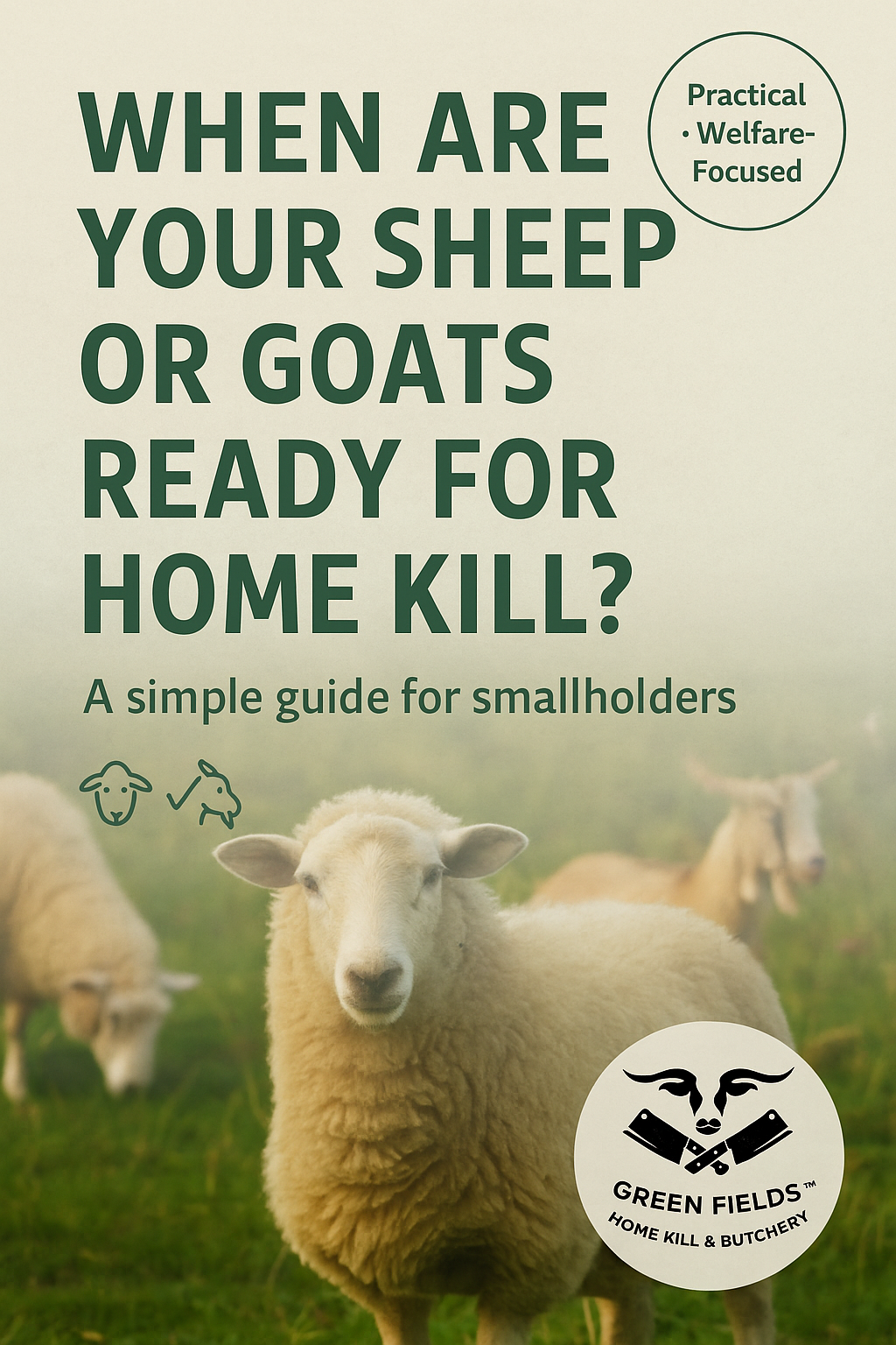 When are your Sheep or Goats Ready for Home Kill