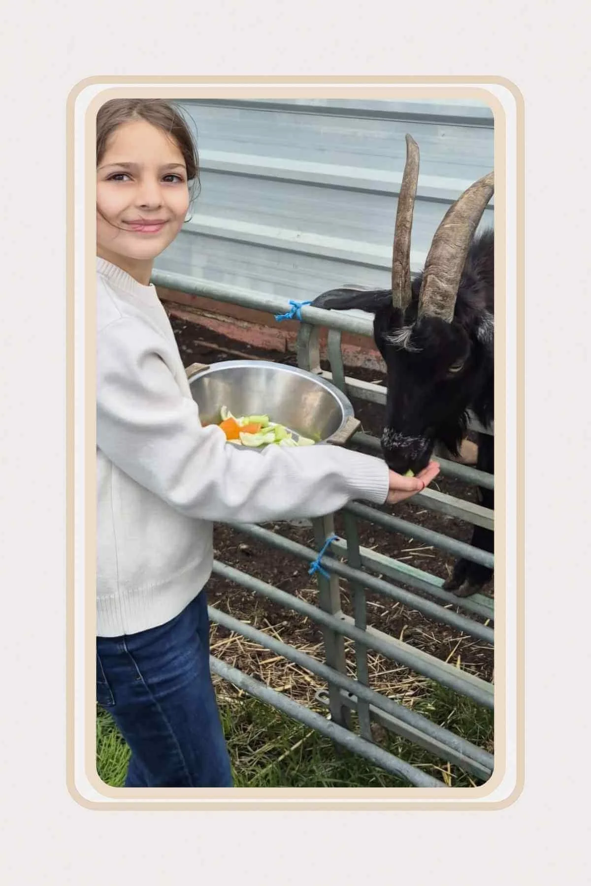 BLOG PHOTO - TALKING TO CHILDREN ABOUT RAISING LIVESTOCK FOR MEAT