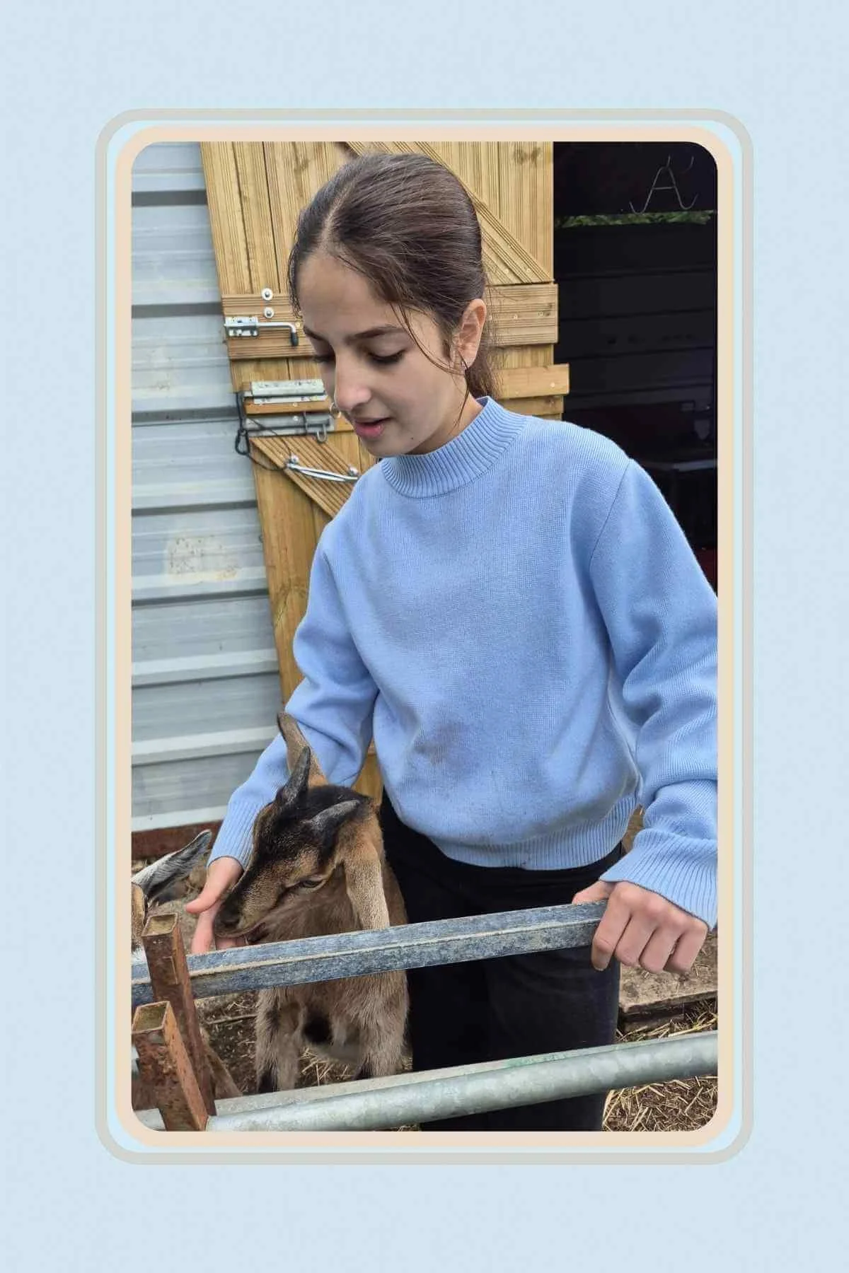 IMAGES LINKED TO GREEN FIELDS HOME KILL AND BUTCHERY BLOG