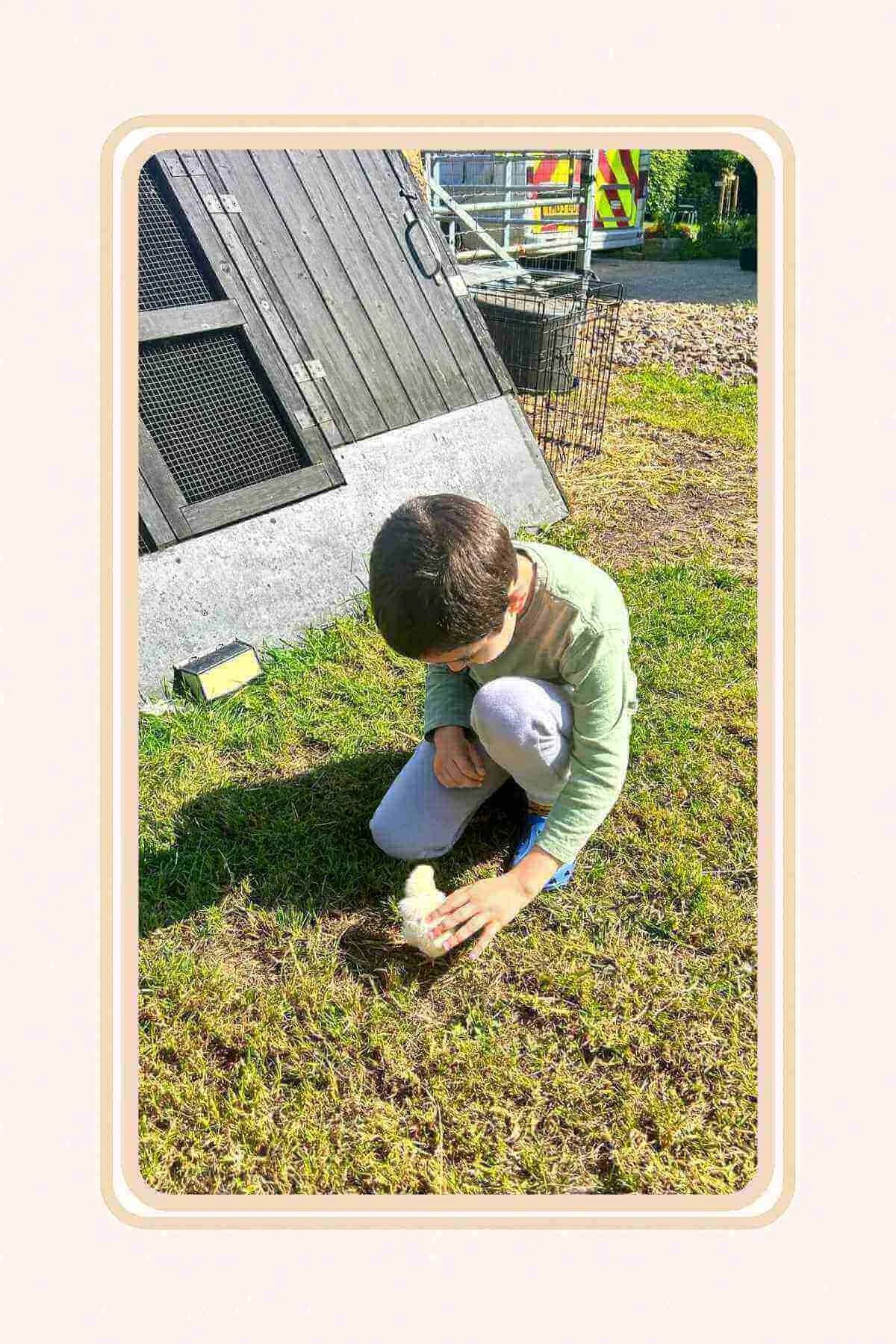 IMAGES LINKED TO GREEN FIELDS HOME KILL AND BUTCHERY BLOG