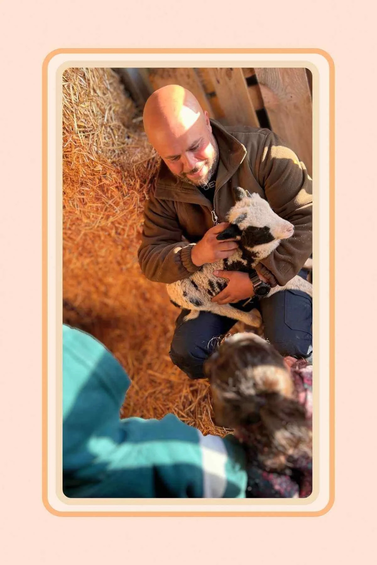 IMAGES LINKED TO GREEN FIELDS HOME KILL AND BUTCHERY BLOG