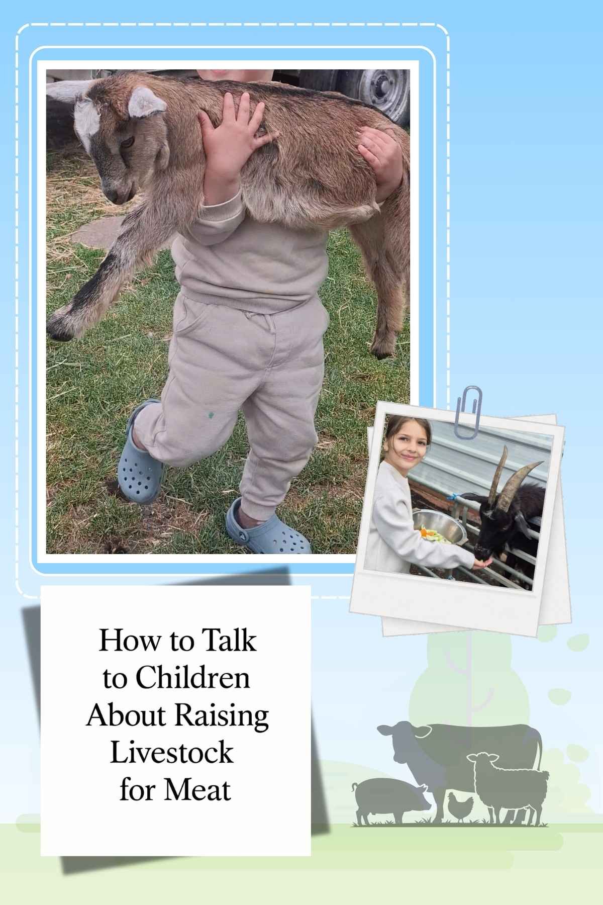 How to Talk to Children About Raising Livestock for Meat | A Gentle Smallholding Guide