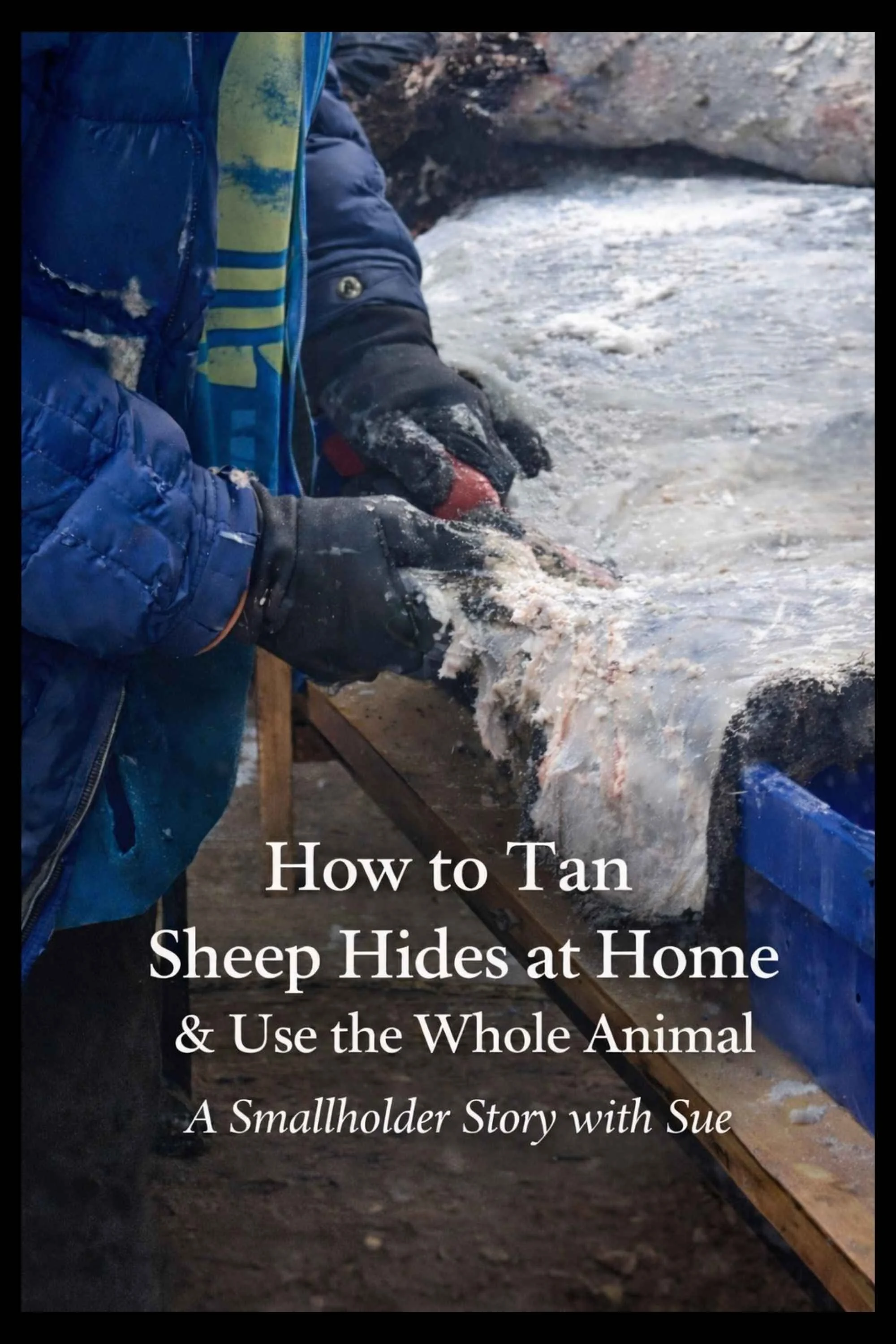 How to Tan Sheep Hides at Home &amp; Use the Whole Animal: A Smallholder Story