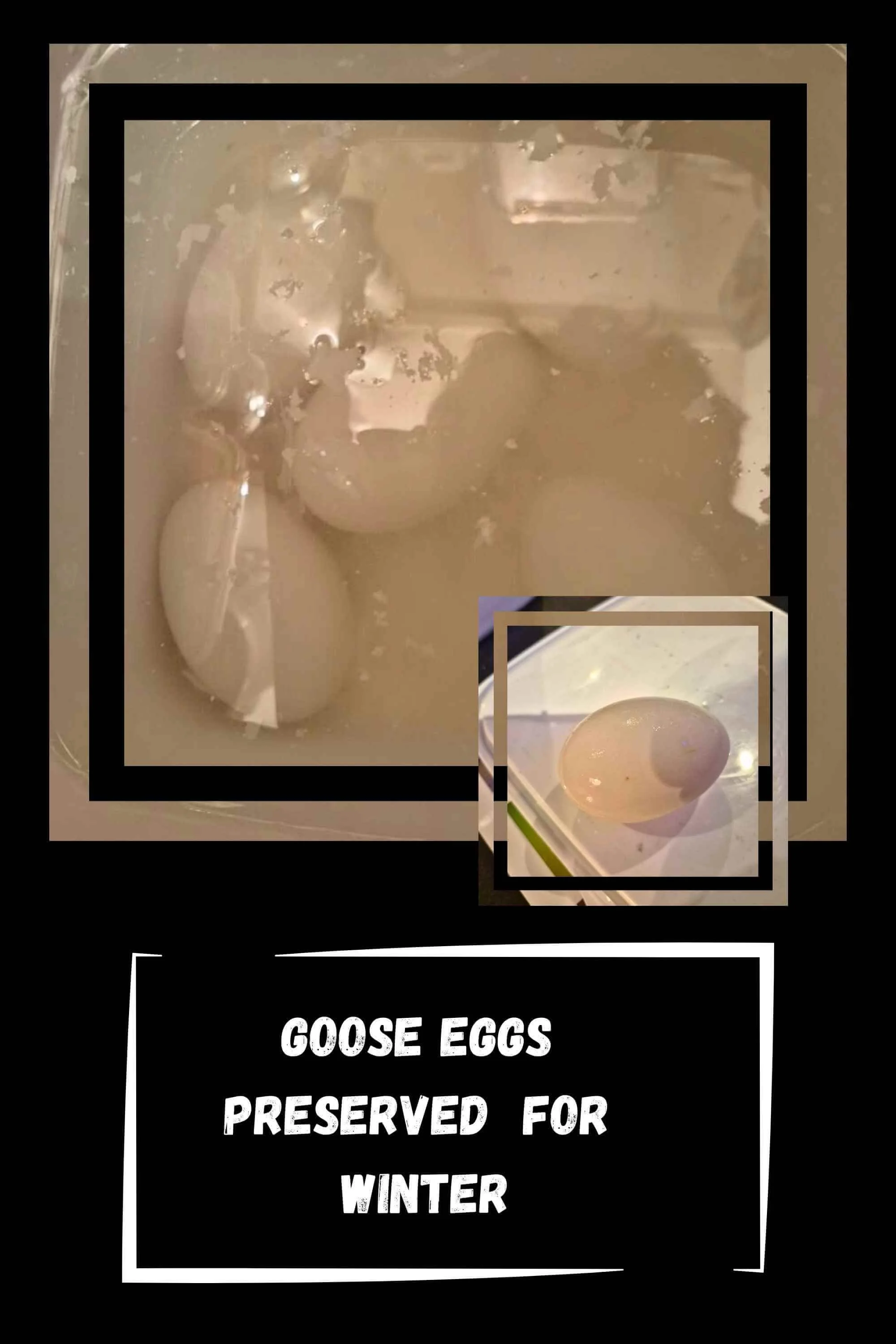 NOTHING GOES TO WASTE