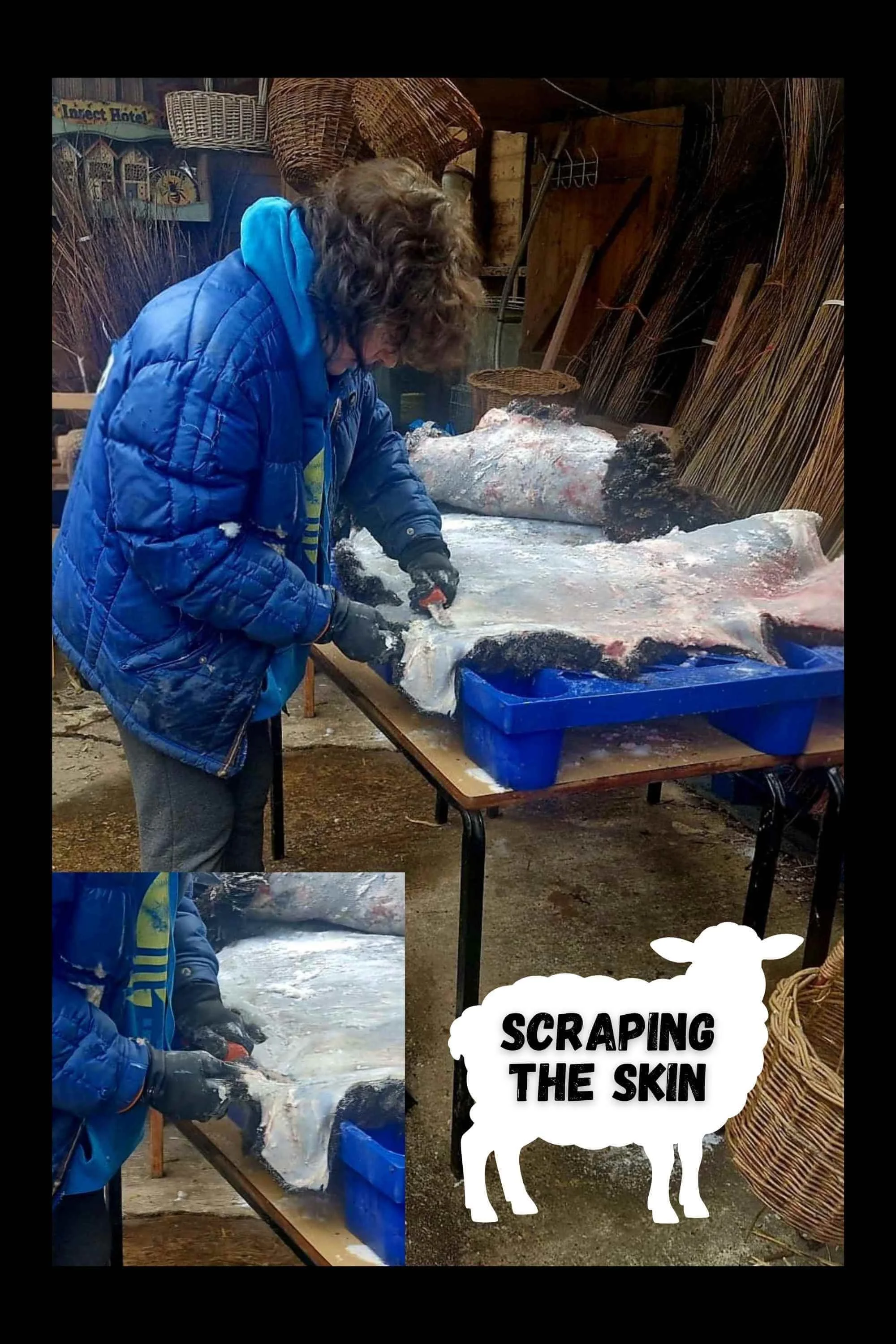 TANNING A SHEEP HIDE AT HOME