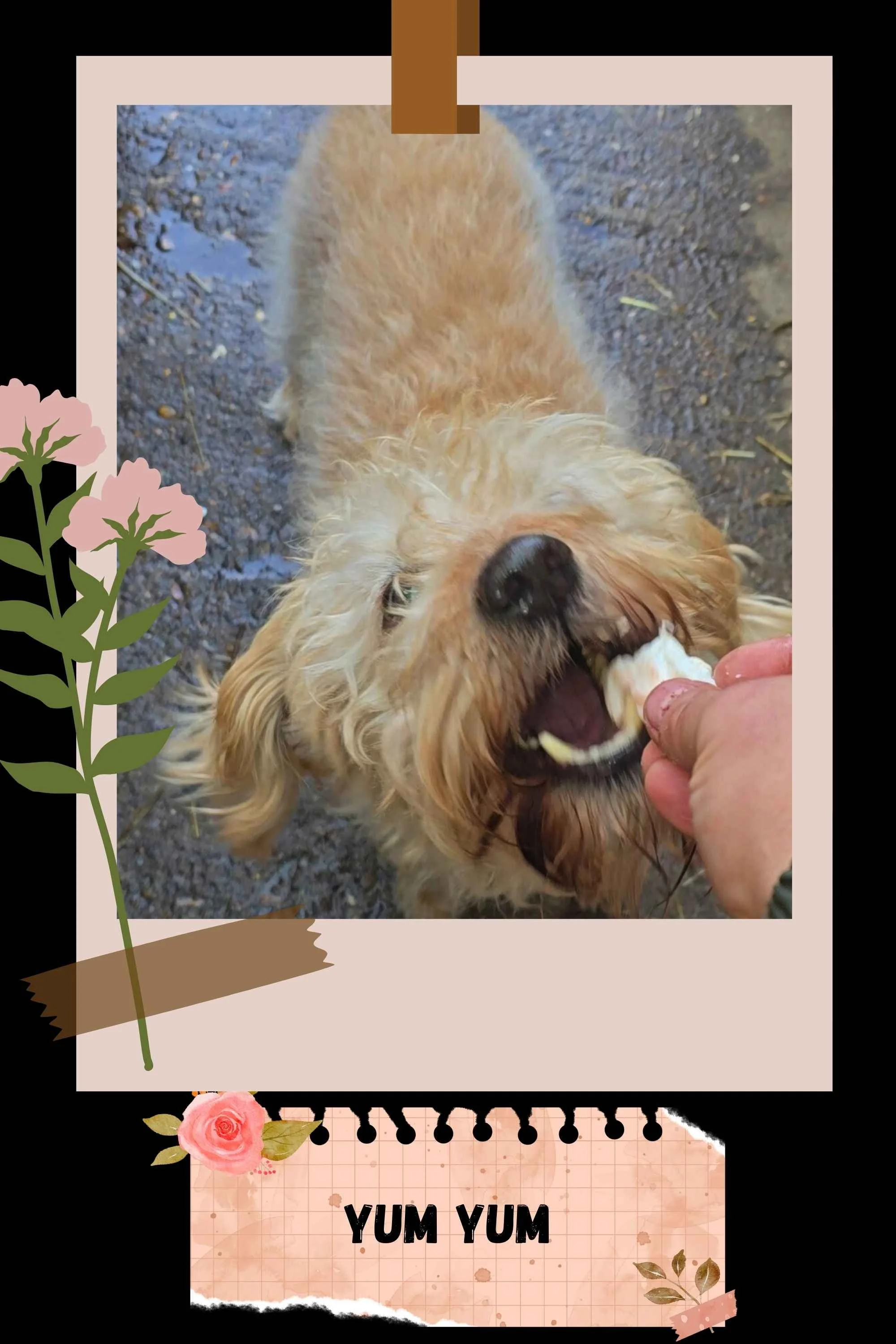 A SMALLHOLDING MINDSET