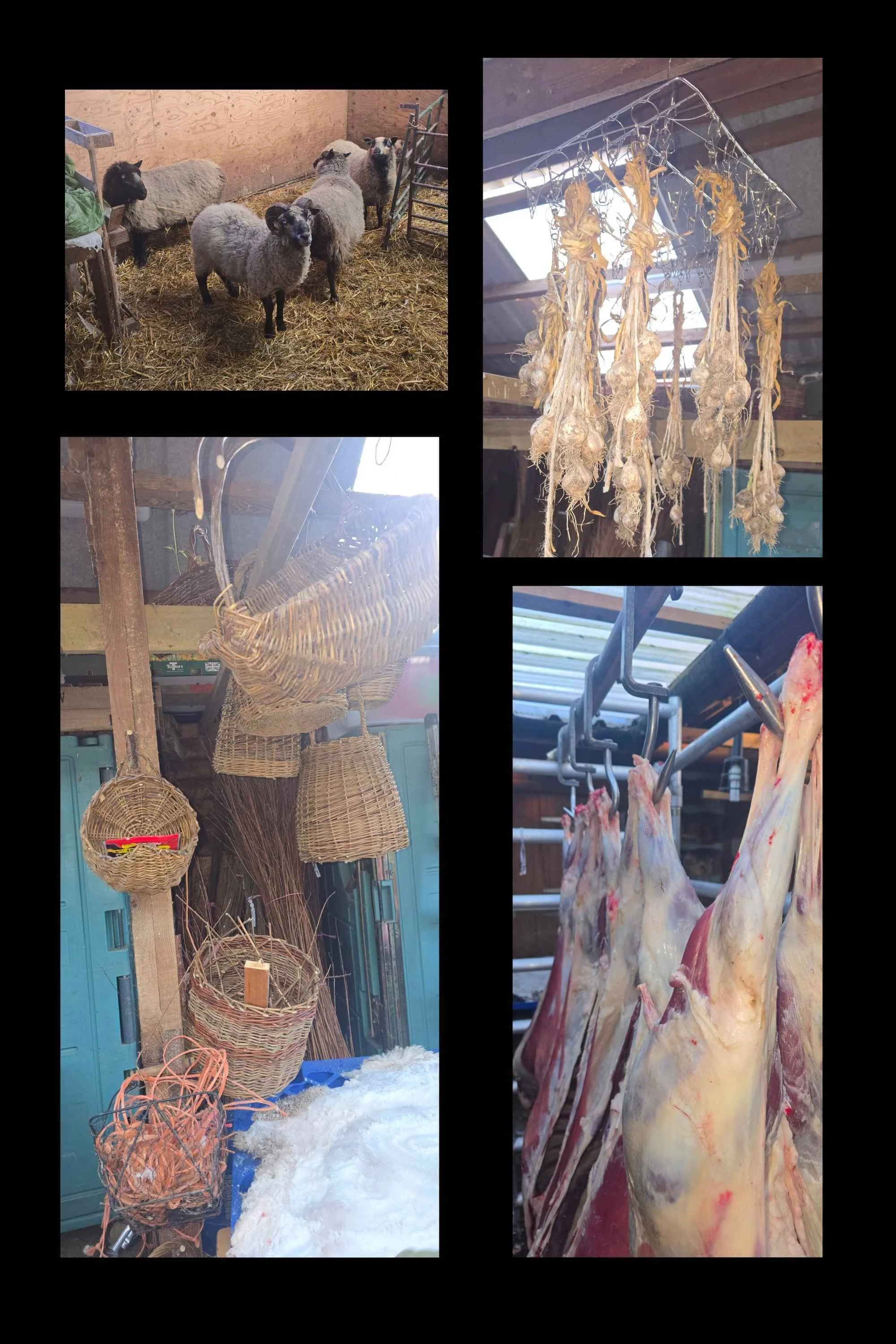 NOTHING GOES TO WASTE