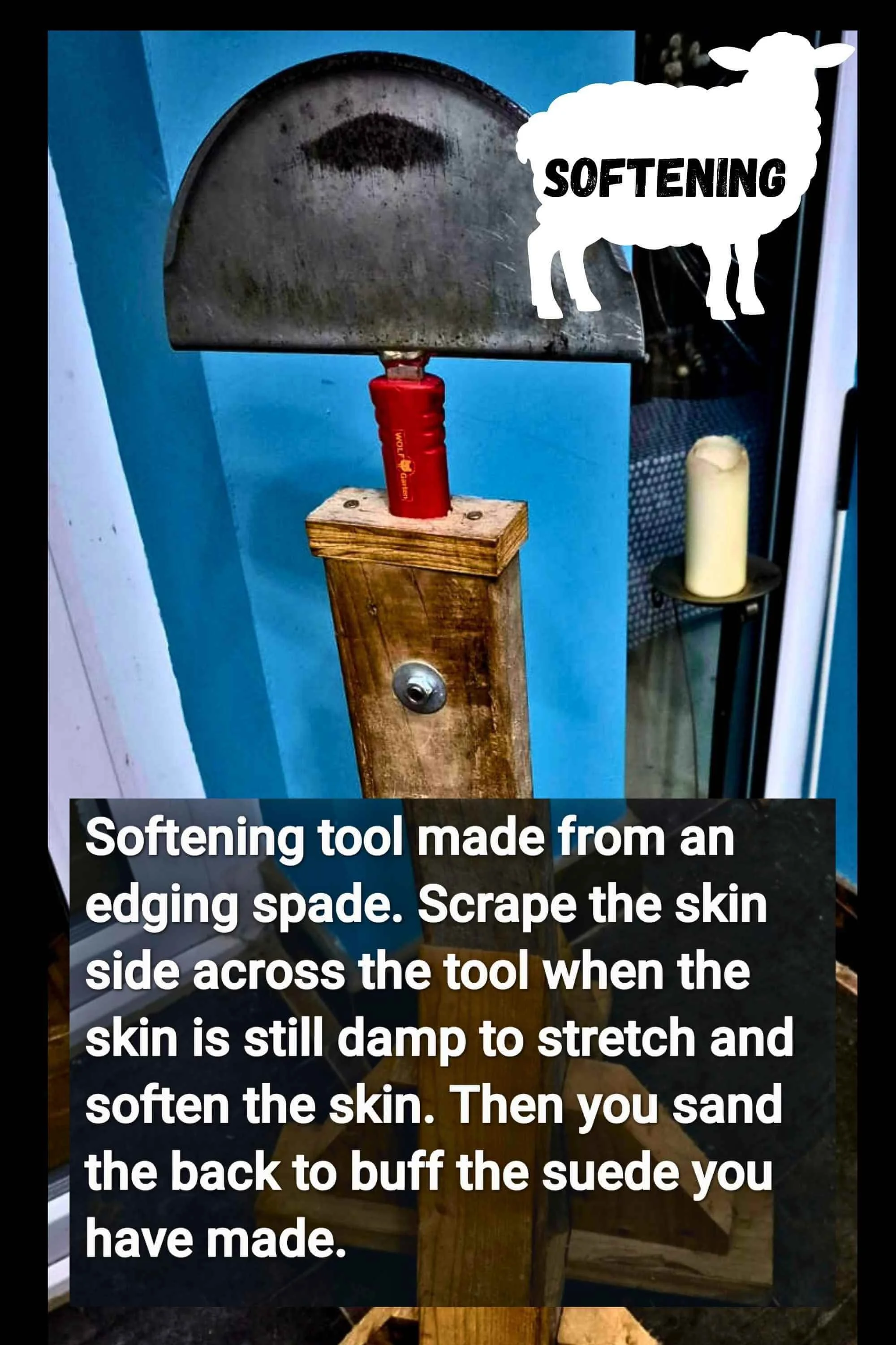 TANNING SHEEP HIDES AT HOME