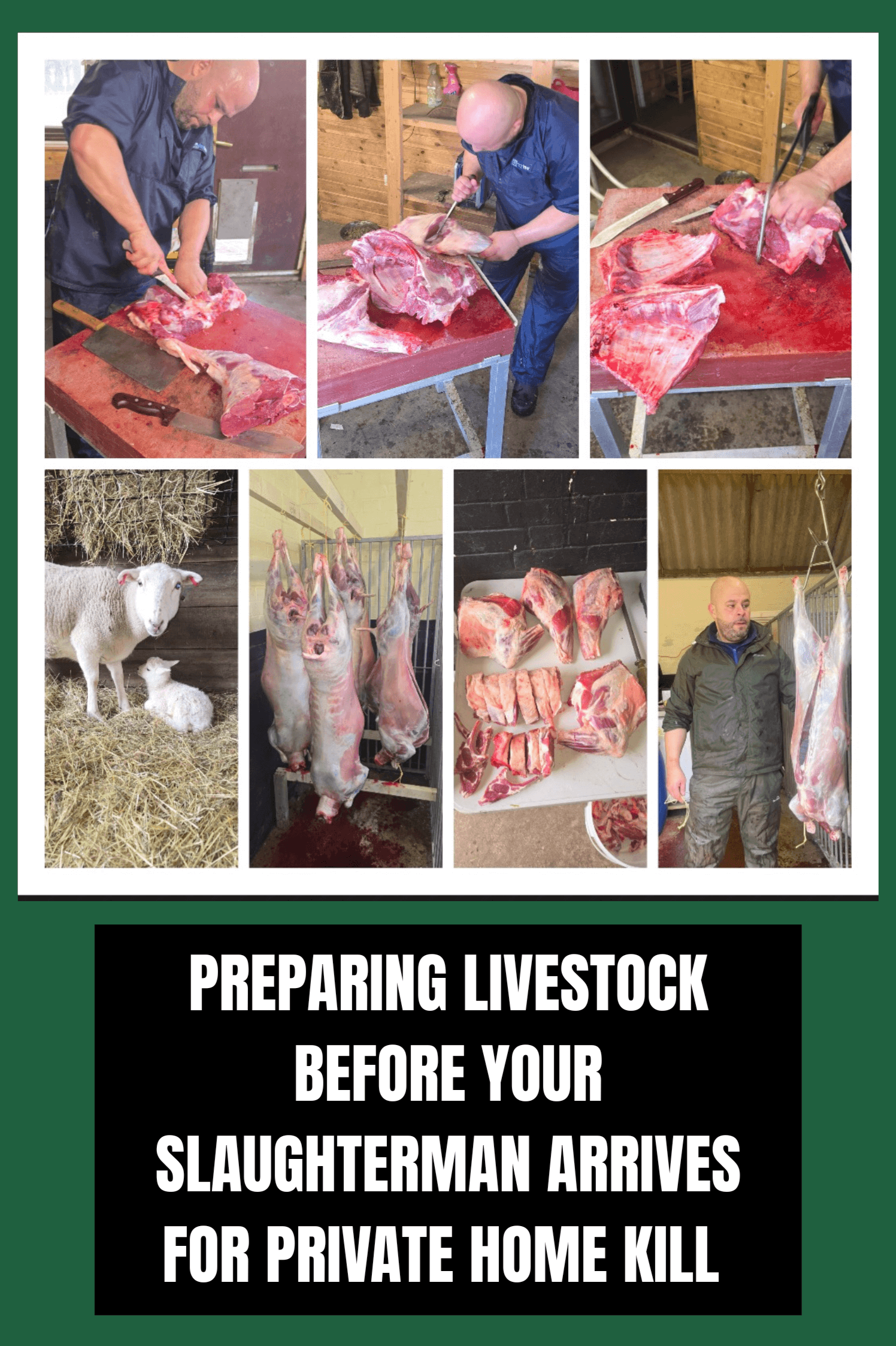Step-by-Step Guide: Preparing Livestock Before Your Slaughterman Arrives for Private Home Kill