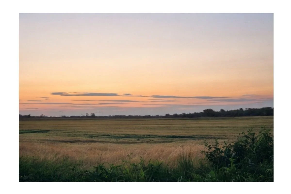 Rural Sunset from our Smallholding