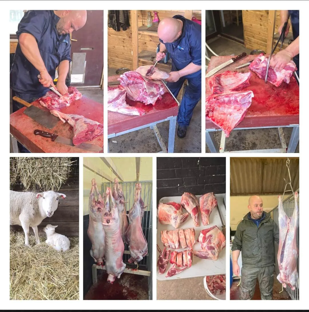 Collage of Green Fields Home Kill and Butchery operating during private home slaughter